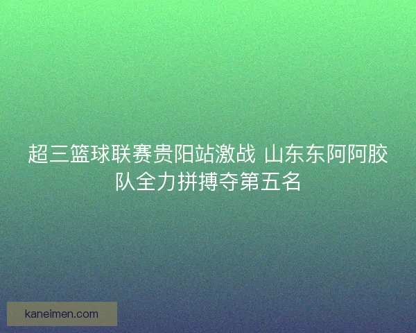 超三篮球联赛贵阳站激战 山东东阿阿胶队全力拼搏夺第五名