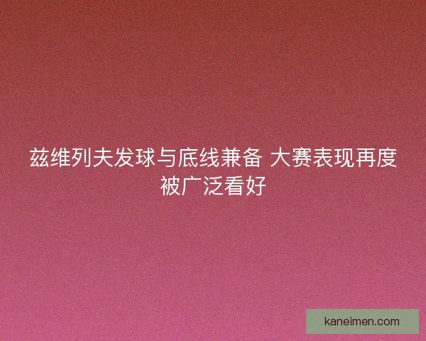 兹维列夫发球与底线兼备 大赛表现再度被广泛看好