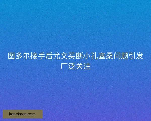 图多尔接手后尤文买断小孔塞桑问题引发广泛关注